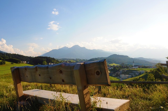 从一支地区