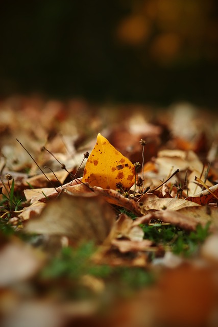 造更具国际 造更具国际