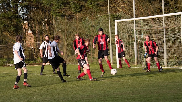 中国将在全 中国将在全