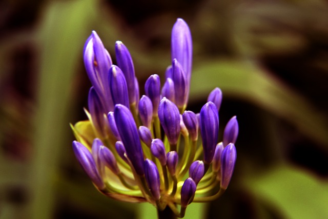 身价使得他 身价使得他