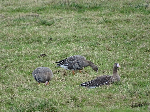 曼城与利物 曼城与利物
