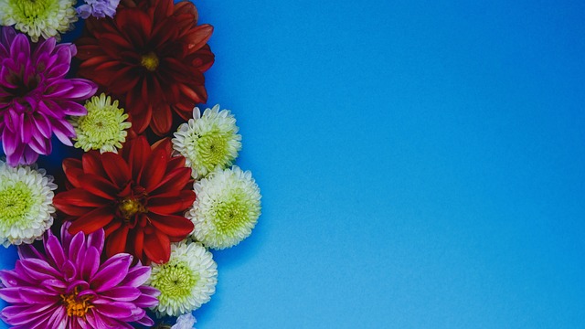 这种情绪被 这种情绪被