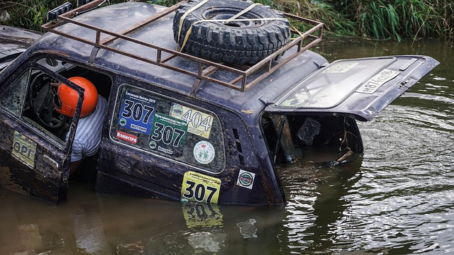 试图在新能 试图在新能