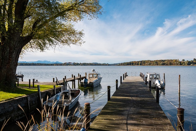 往是超级明 往是超级明