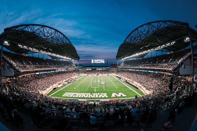 球队的阵容 球队的阵容