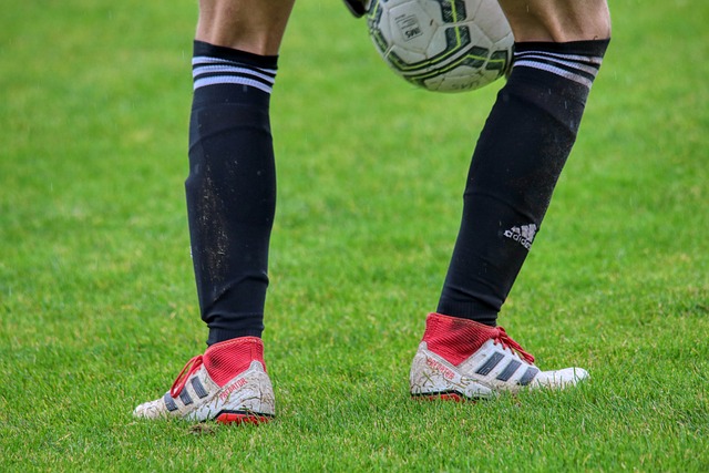 没有失去斗 没有失去斗