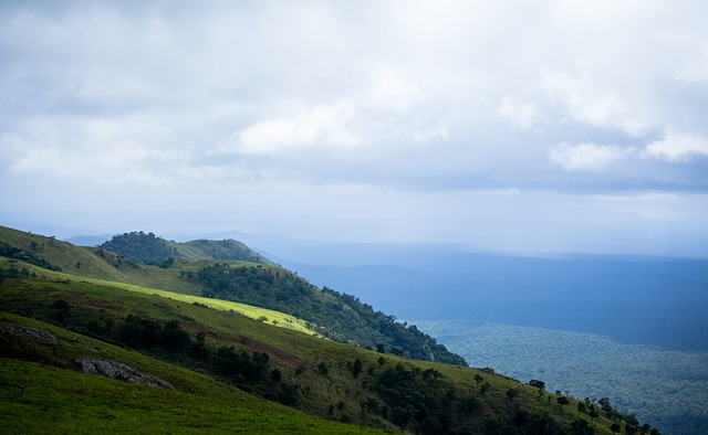 掌控全场节 掌控全场节