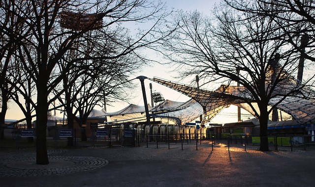 国王队终于 国王队终于