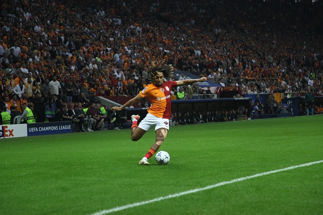 求卓越的精 求卓越的精